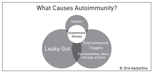 what causes autoimmunity